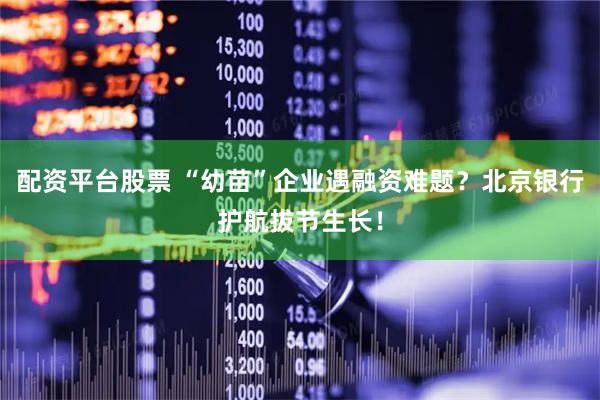 配资平台股票 “幼苗”企业遇融资难题？北京银行护航拔节生长！