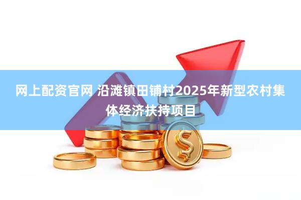 网上配资官网 沿滩镇田铺村2025年新型农村集体经济扶持项目