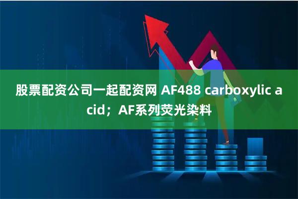 股票配资公司一起配资网 AF488 carboxylic acid；AF系列荧光染料