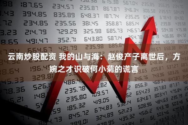 云南炒股配资 我的山与海：赵俊产子离世后，方婉之才识破何小菊的谎言