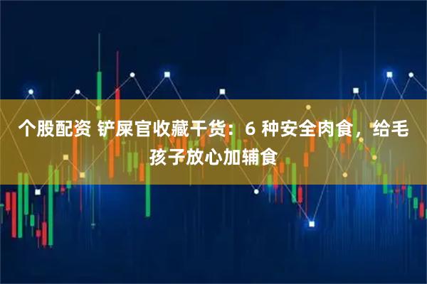 个股配资 铲屎官收藏干货：6 种安全肉食，给毛孩子放心加辅食